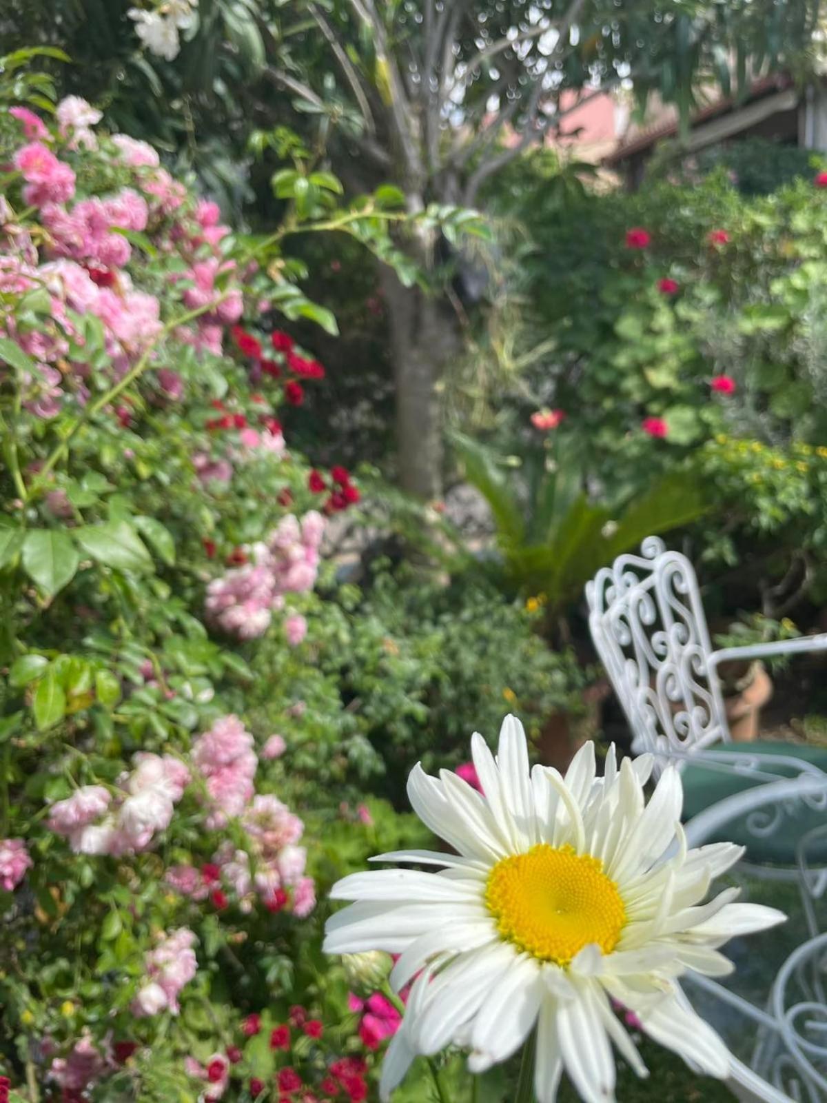 Villa Tina Country Beach Apartments 아카라비 객실 사진