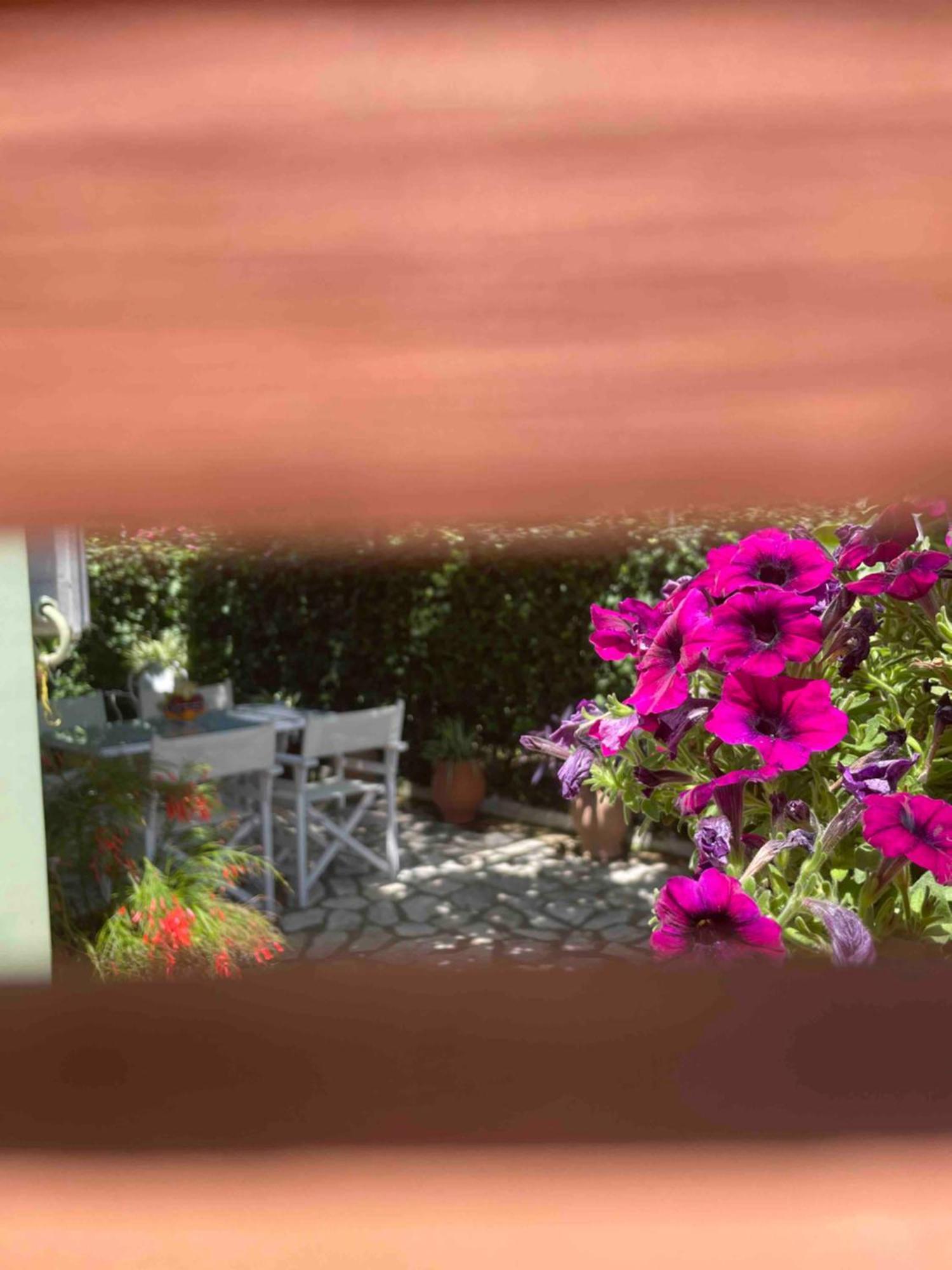 Villa Tina Country Beach Apartments 아카라비 객실 사진
